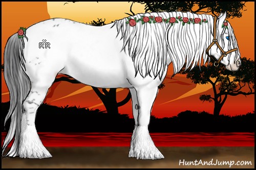 Horse Color:Black Frame