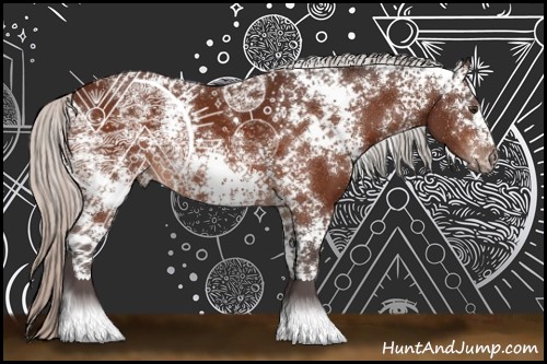 Horse Color:White Spotted Silver Brown 