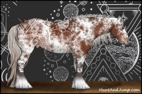 Horse Color:White Spotted Silver Brown