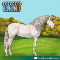 Horse Color:Smoky Creme Dun Rabicano 