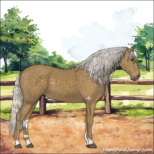 Horse Color:Silver Smoky Black 