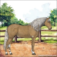 Horse Color:Silver Smoky Black 