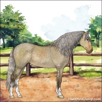 Horse Color:Silver Smoky Grullo Sabino 