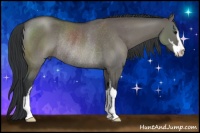 Horse Color:Grullo Sabino Rabicano