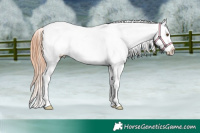 Horse Color:Classic Champagne Dun Tobiano Blanket 