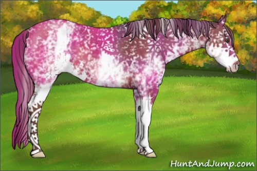 Horse Color:White Spotted Liver Chestnut Sabino 
