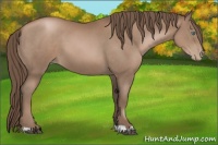 Horse Color:Black Pearl
