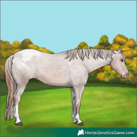 Horse Color:Chestnut Tobiano Snowcap 