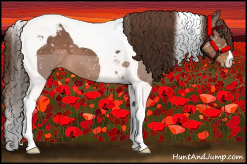 Horse Color:Liver Chestnut Tobiano Appaloosa 