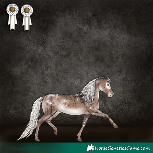 Horse Color:White Spotted Liver Red Dun Mushroom Rabicano Brindle 