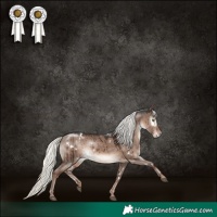 Horse Color:White Spotted Liver Red Dun Mushroom Rabicano Brindle 