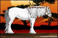 Horse Color:Black Frame 