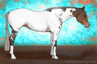 Horse Color:White Spotted Silver Brown Appaloosa 