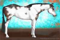 Horse Color:White Spotted Brown Frame Varnish 