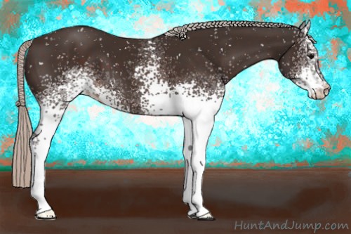 Horse Color:White Spotted Silver Brown Snowflake Varnish 