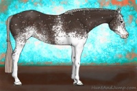 Horse Color:White Spotted Silver Brown Snowflake Varnish 