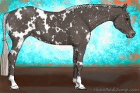 Horse Color:White Spotted Silver Black Snowflake Varnish 