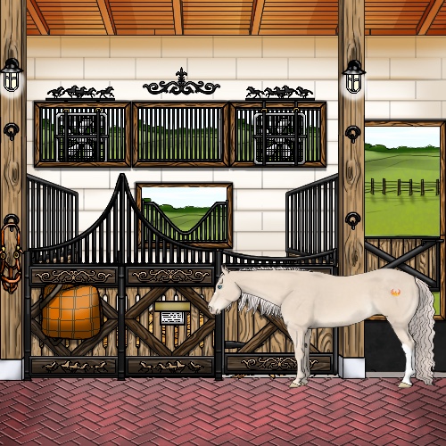 Horse Color:Cremello