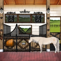 Horse Color:Cremello 