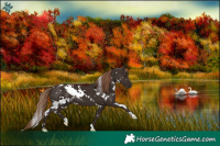 Horse Color:White Spotted Liver Chestnut 