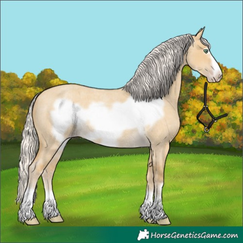 Horse Color:Silver Classic Cream Champagne Roan Dun Frame 