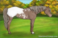 Horse Color:Liver Chestnut Mushroom Varnish