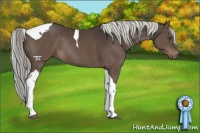 Horse Color:Liver Chestnut Tobiano Rabicano 
