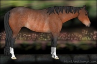 Horse Color:Brown Rabicano 