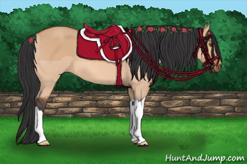 Horse Color:Bay Dun
