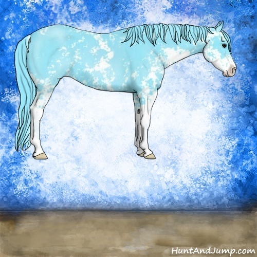 Horse Color:Watercolor Black Chinchilla Sabino 