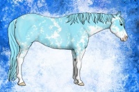 Horse Color:Watercolor Black Chinchilla Sabino 