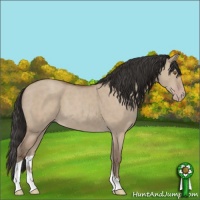 Horse Color:Classic Champagne Dun Sabino Tobiano 