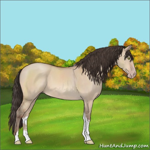 Horse Color:Sable Champagne Dun Tobiano