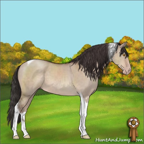 Horse Color:Sable Champagne Dun Tobiano