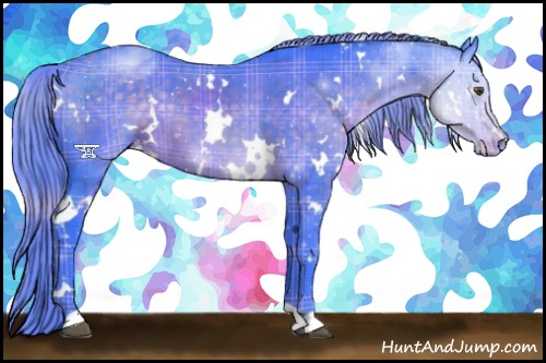 Horse Color:Watercolor Plaid  White Spotted Chocolate Palomino Appaloosa 