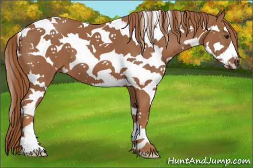 Horse Color:Chestnut Splash Tobiano 