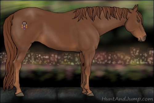 Horse Color:Chestnut Frame 