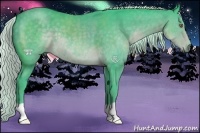 Horse Color:Watercolor Silver Black Chinchilla 