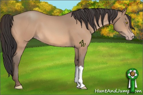 Horse Color:Amber Champagne 
