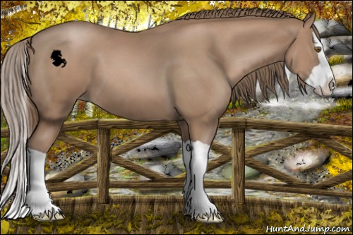 Horse Color:Black Pearl Splash 