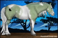 Horse Color:Watercolor Silver Bay Splash Tobiano 