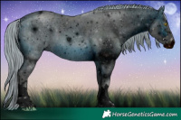 Horse Color:ERROR: UNKNOWN ANOMALY
