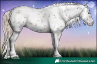 Horse Color:White Spotted Chestnut Sabino 