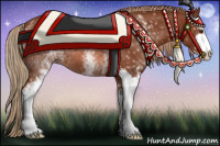 Horse Color:White Spotted Chestnut Sabino 