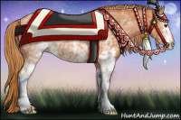 Horse Color:White Spotted Chestnut 