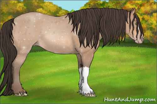 Horse Color:Sable Champagne