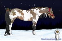 Horse Color:White Spotted Brown Dun 