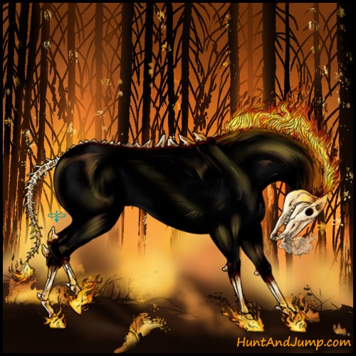 Horse Color:Void White Spotted Bay Splash Appaloosa 