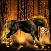 Horse Color:Void White Spotted Bay Dun