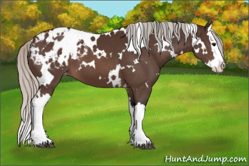Horse Color:White Spotted Silver Brown Splash Blanket